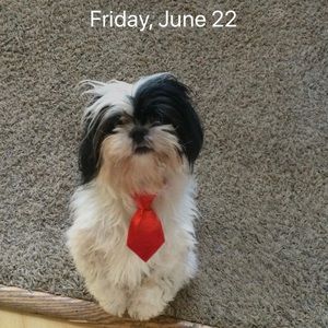 Meet your Posher, Jill